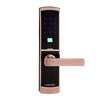 Biometric Electronic Door Lock Smart Fingerprint, Code, 2 Cards, 2 Keys Touch Screen Digital Keypad Password Lock lk609RC